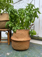 BASIL BASKET PAINTING CLASS